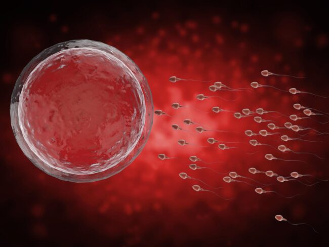 motilita-spermatozoi-e-concentrazione-nemaspermica